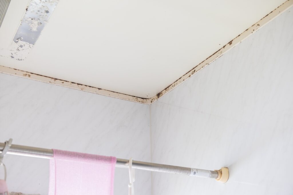 風呂 天井 カビ取り