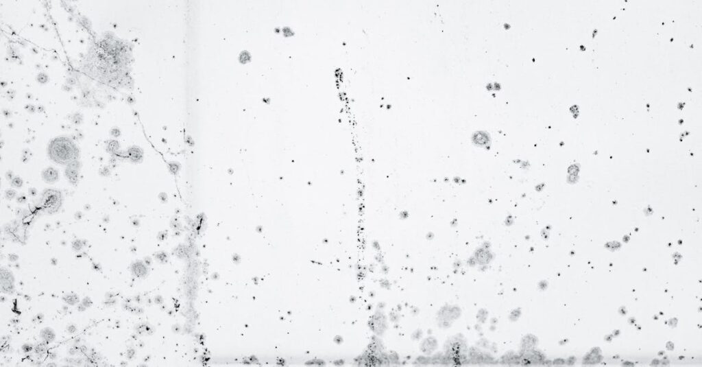 風呂場の床に黒ずみが発生した様子。カビや皮脂汚れが混在し、掃除が難しい状態